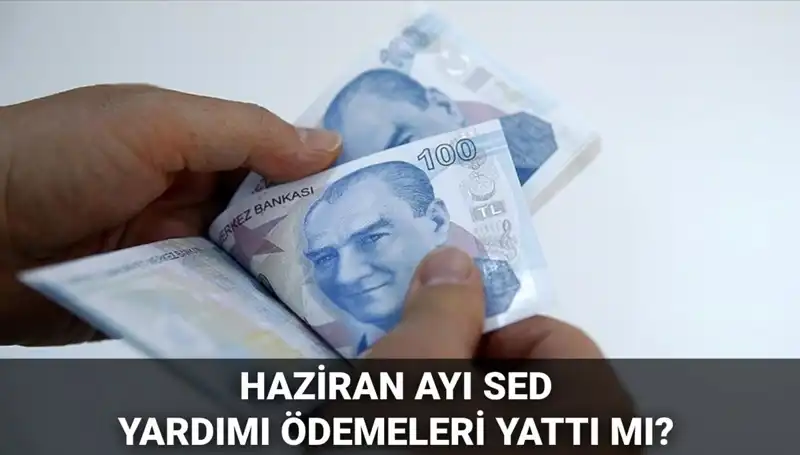 SED Ödemeleri Haziran 2025: Sorgulama Nasıl Yapılır ve Ödeme Tarihleri