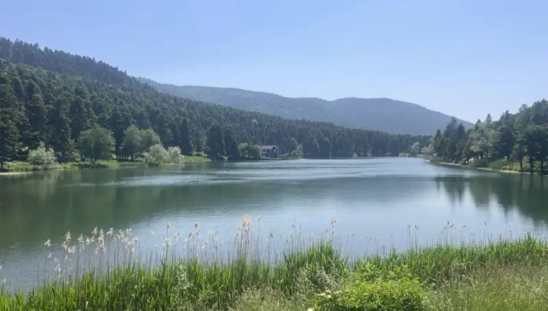 Bolu Milli Parkları: Doğa Aşıkları İçin Eşsiz Bir Cennet Haline Geldi