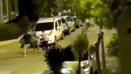 Avcılar'da Üç Kişinin Saldırısına Uğrayan Vatandaşa Çevredekiler Sahip Çıktı