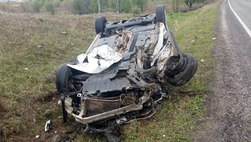 Yola Fırlayan Domuzun Yol Açtığı Kaza: Bir Can Gitti, Altı Kişi Yaralandı